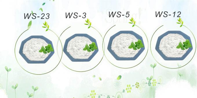 Factory ISO Certified High Quality Food Grade Cooling mint Coolants WS-27 for food and cosmetics 6