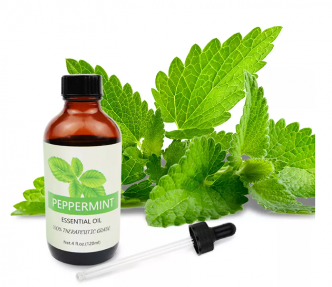 ODM 100% Natural Peppermint Essential Oil For Skin Care 0