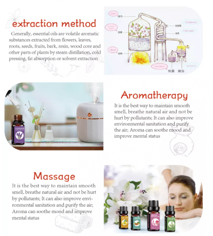 ODM 100% Natural Peppermint Essential Oil For Skin Care 2