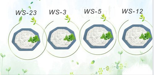 Vape Raw Material Cooling Agent WS3 Than Menthol CAS 39711-79-0 0