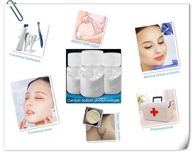Calcium Sodium Phosphosilicate Tooth Sensitivity Sodium Calcium Phosphosilicate Bioactive Glass Powder For Medical-beauty 1