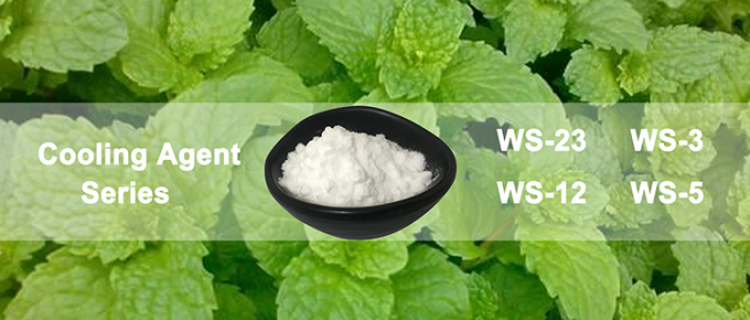 51115-67-4 Menthol Crystal Vape Juice WS23 Cooling Agent 0
