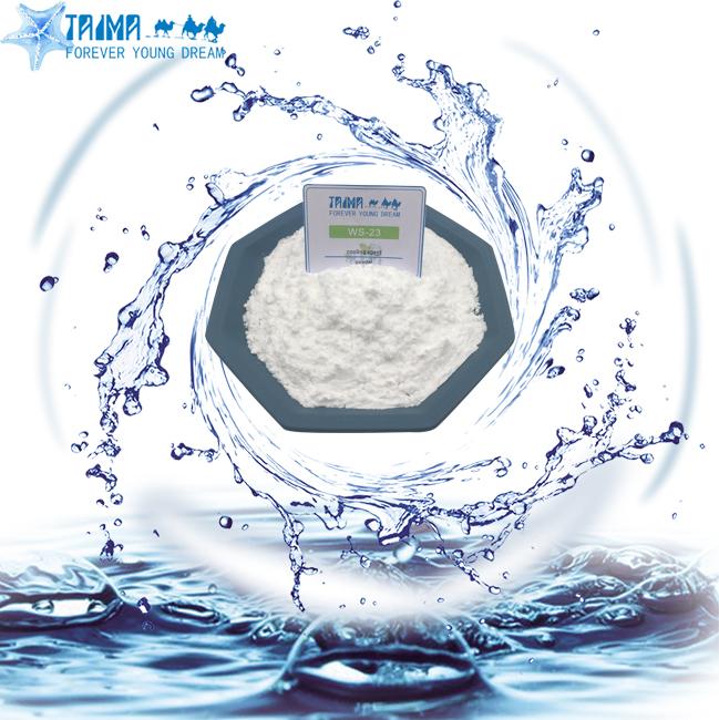 Cosmetics Mint Flavor WS-23 Coolant Additive C10H21NO 0