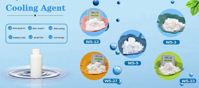 High Quality Cooling Agent Powder WS-23, WS-27,WS-3,WS-12,WS-5 0