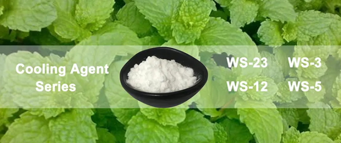 99% Food Grade Cooling Agent Ws 23 Powder Daily Flavor 0