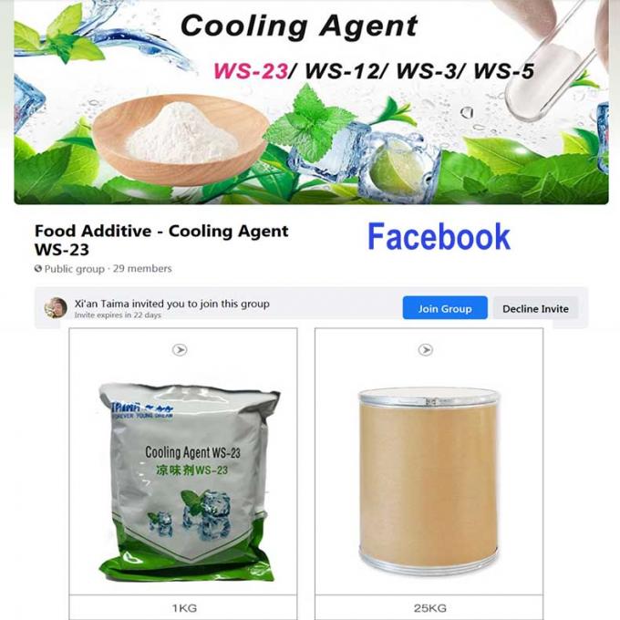 Pure Food Grade Additives WS-23 Cooling Agent Sensory Cooling Power 0