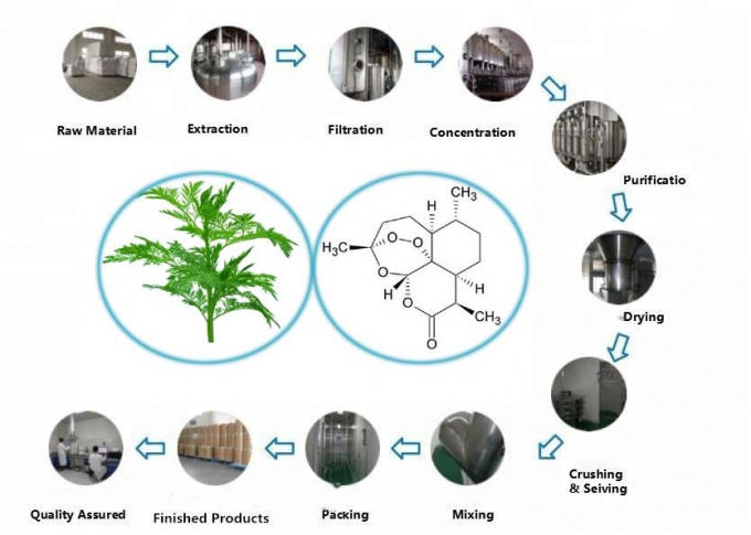 Pure Organic Artemisia Annua Extract 99% Purity CAS 63968-64-9 0