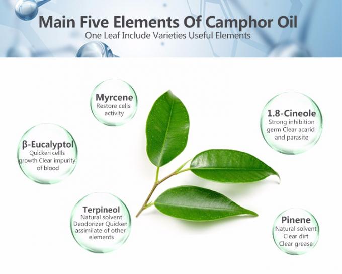 100% Pure Natural Organic Eucalyptus Essential Oil Skin Revitalizer 1