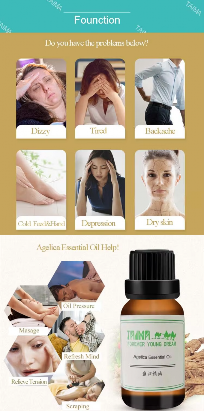Fragrance Angelica Essential Oil For Anti Aging Adjusting Skin Secretion 2