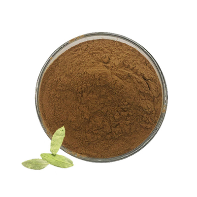 Loss Weight 10:1 Pure Natural Senna Leaf Extract Senna Powder