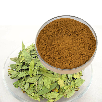Wholesale Chinese Herbal Senna Leaf Extract Powder Senna Leaf Extract Powder