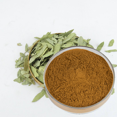 China Factory Price 100% natural senna leaf extract powder for sale