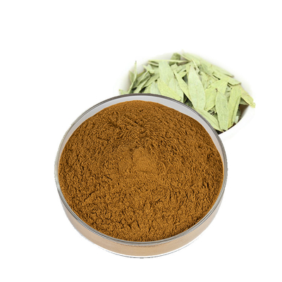 Natural Grade Lose Weight Supply Folium Sennae Senna Leaf Sennoside Extract Powder