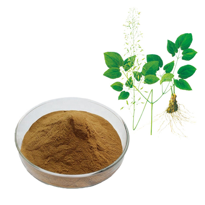 Pure Herbal Extraction Epimedium Sagittatum Extract Powder 10% Lcariin
