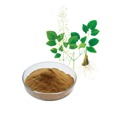 Factory Epimedium Extract Powder High quality 10% 20% Lcariin For the sake of health