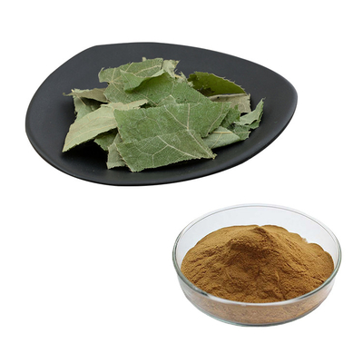 Pure Natural Epimedium Herb Extract 5%-20% Lcariin Powder Epimedium Leaf Extract