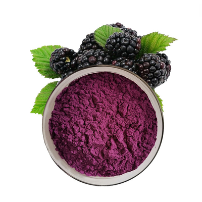 Mulberry Fruit Powder Morus alba fruit extract with anthocyanidins