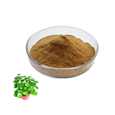 Skin Care Centella Asiatica Extract Gotu Kola Powder 100%