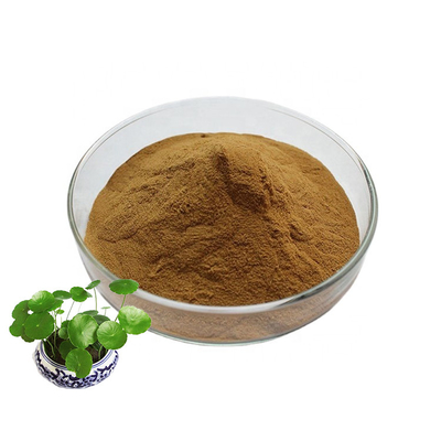 Skin Care Centella Asiatica Extract Gotu Kola Powder 100%
