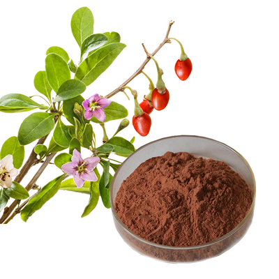 Nature Goji Berry Juice Powder Wolfberry Extract Lycium Barbarum Powder