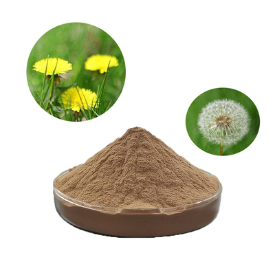 Organic Herbal Food Grade Additives 3% Flavone Dandelion Root Extract Powder