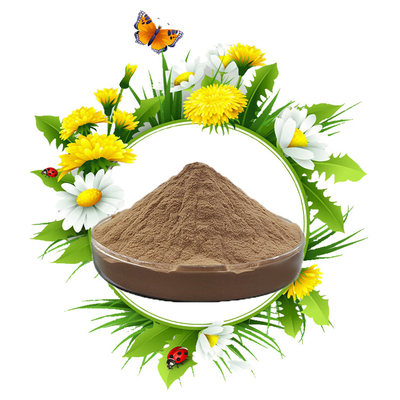 Pure Food Grade Additives Dandelion Extract Powder Health Care Products