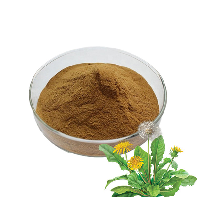 Pure Food Grade Additives Dandelion Extract Powder Health Care Products
