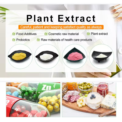 High Food Grade White Powder Additive With 2-Year Shelf Life