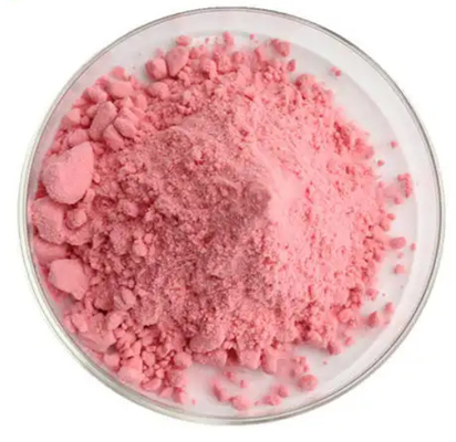 Watermelon Powder Spray-dried Powder Nature Pomegranate DRIED MANGO POWDER ( SPRAY DRYING ) For Beverage For Baking