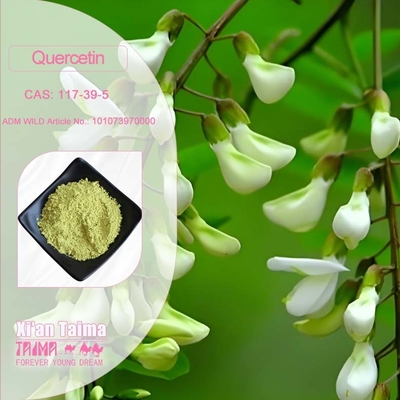 Plant Extract Quercetin Powder 98% Sophora Japonica Extract CAS 117-39-5