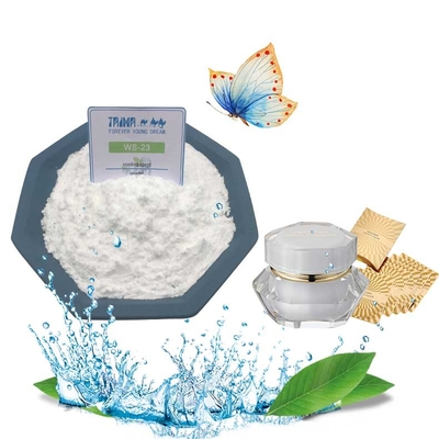 White Crystal Koolada Cooling Agent Powder Cas 51115-67-4 Ws-23 For Emulsion