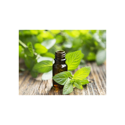 CAS 8006-90-4 Leaves Pure Peppermint Essential Oil Anti Inflammatory