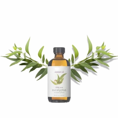 Pure Natural Eucalyptus Leaf Extract Eucalyptus Essential Oil