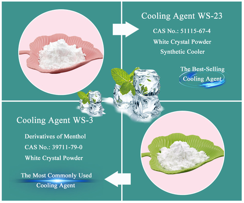 C15H27NO3 WS-5 Cooling Agent Mint Food Grade Coolant 99% Purity
