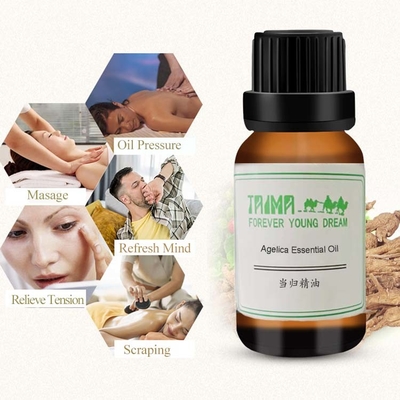 Fragrance Angelica Essential Oil For Anti Aging Adjusting Skin Secretion
