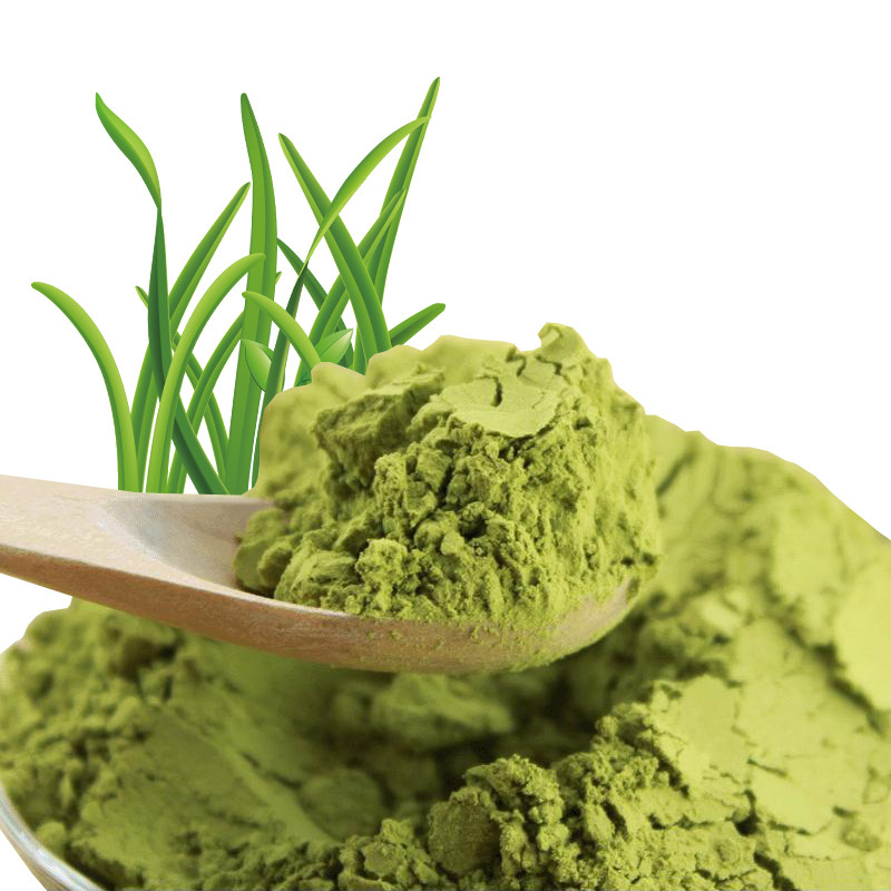 100 Pure Barley Grass Juice Powder Food Grade