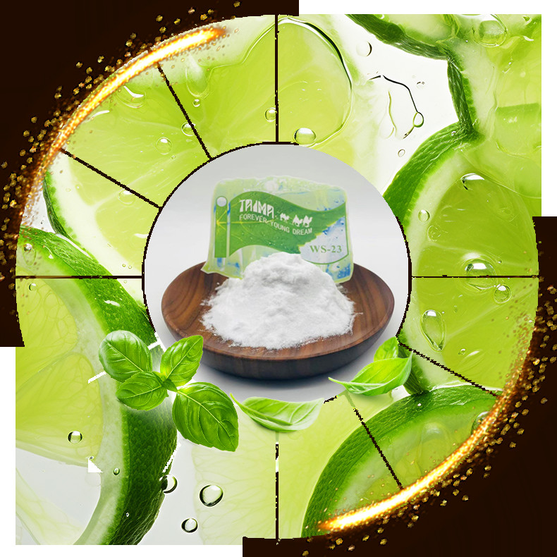 Chemical Name N Purity 99.0% Min Super Cool Icy Cooling Agent with No Odor and Flavor WS23