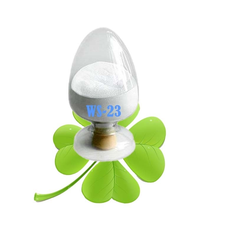 High Purity WS-23 Cooling Agent Slight Menthol Odor For Food / Candy CAS 5111-67-4
