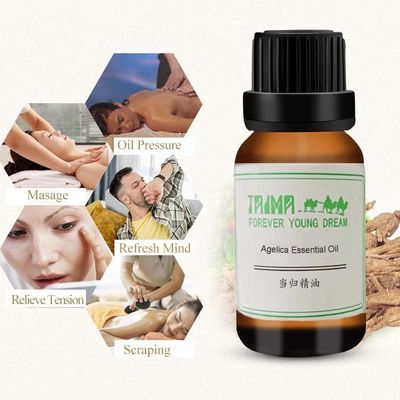 China Angelica Essential Oil Bulk Herbal Angelica Root Oil8015-54-3