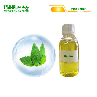 China USP Grade Concentrate Mint Flavors For E Liquid / Vape Juice Free Samples