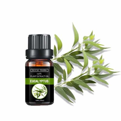 China Pure Natural Eucalyptus Leaf Extract Eucalyptus Essential Oil