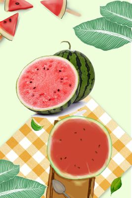 China Colorless Concentrated E Cigarette Watermelon Flavor CAS 220-334-2