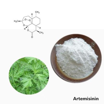 China Pure Herb CAS 63968-64-9 Artemisia Annua Extract C15H22O5