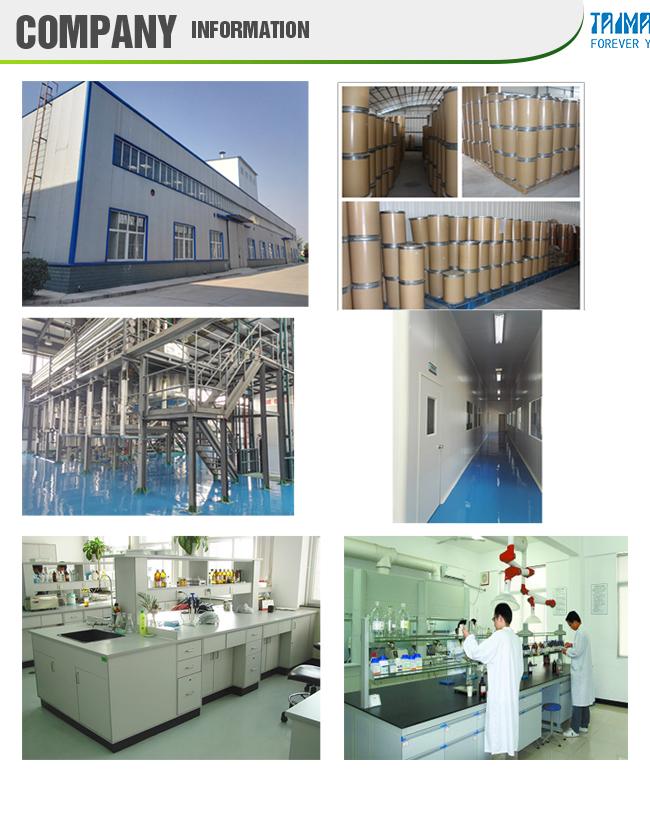high concentrate fruit flavors company information