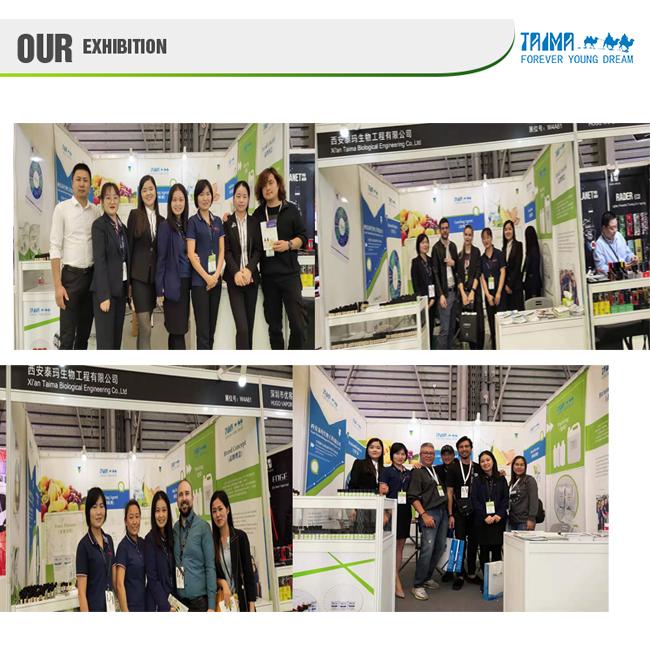 high concentrate fruit flavors company exhibition