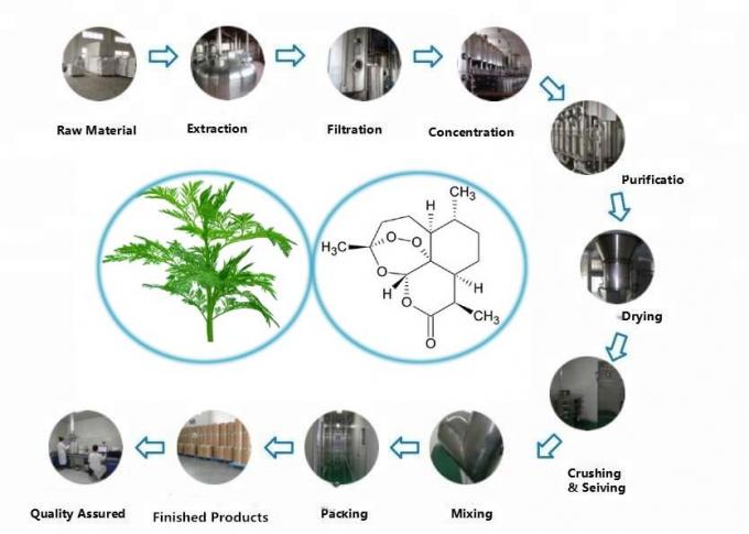 Pure Herb CAS 63968-64-9 Artemisia Annua Extract C15H22O5 0